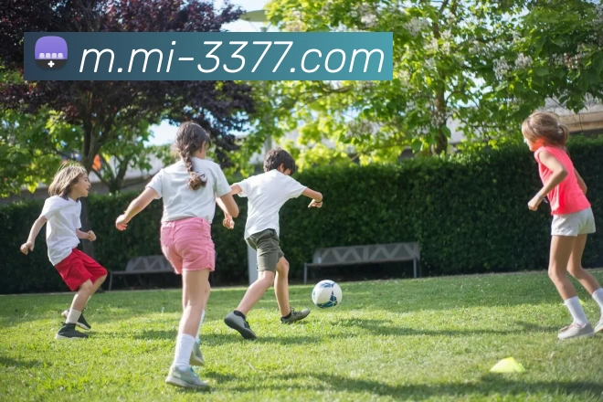 3377体育平台生态图